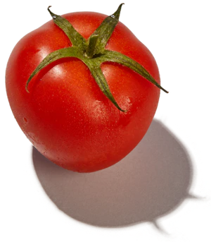 tomato | Image | Raffe Healthy Kids