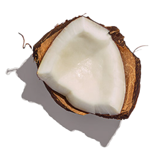 coconut | Image | Raffe Healthy Kids