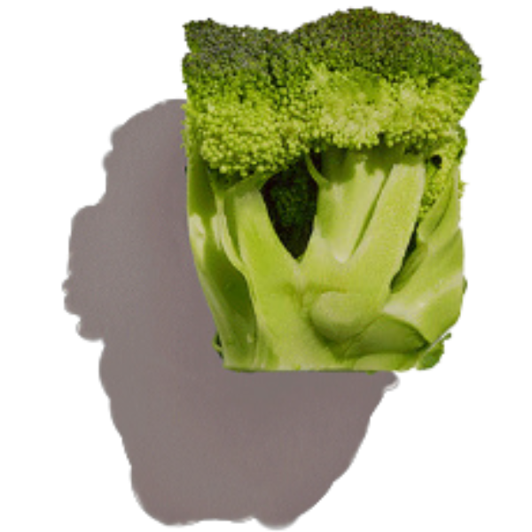 broccoli | Image | Raffe Healthy Kids